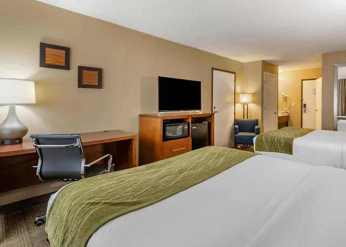 Inn Comfort - Bolingbrook
