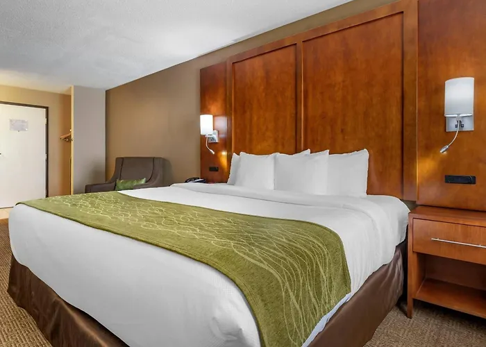 Comfort - Bolingbrook Inn 4*