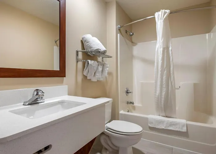 Comfort - Bolingbrook Inn Romeoville