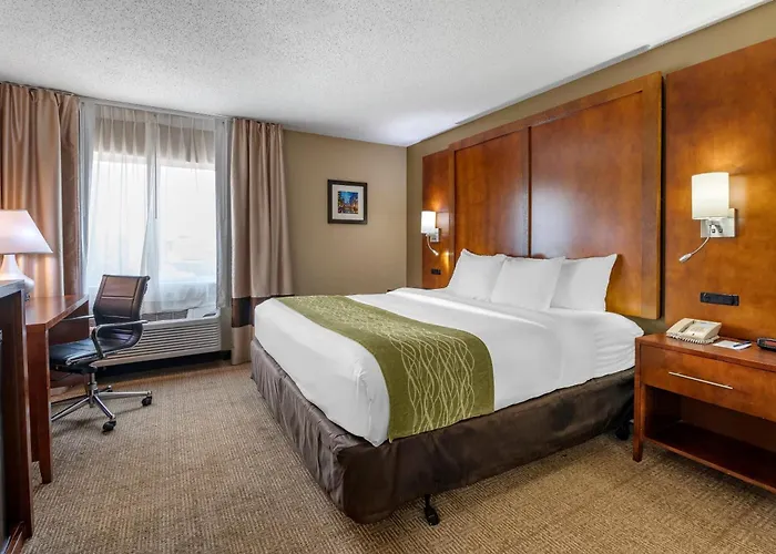 Comfort - Bolingbrook Inn
