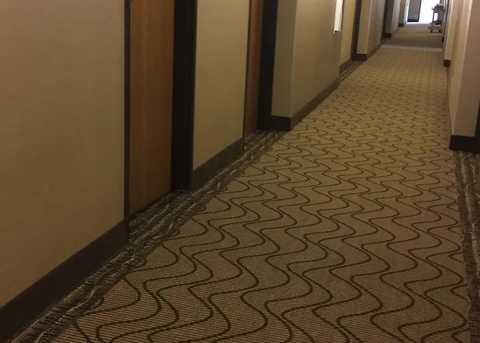 Comfort - Bolingbrook Inn Romeoville