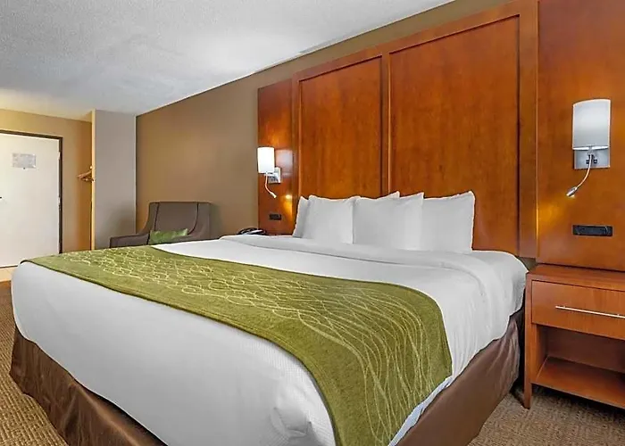 Comfort - Bolingbrook 4* Romeoville