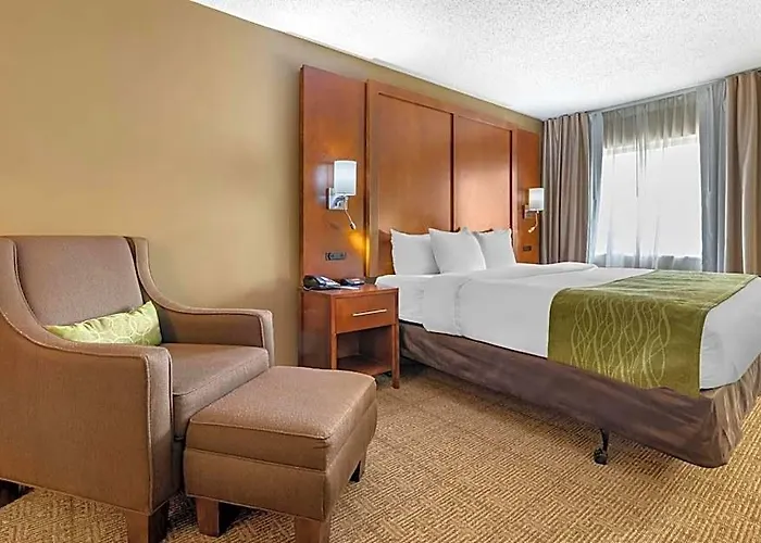 Inn Comfort - Bolingbrook