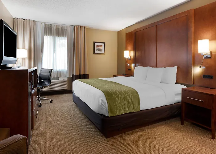 Comfort - Bolingbrook Romeoville