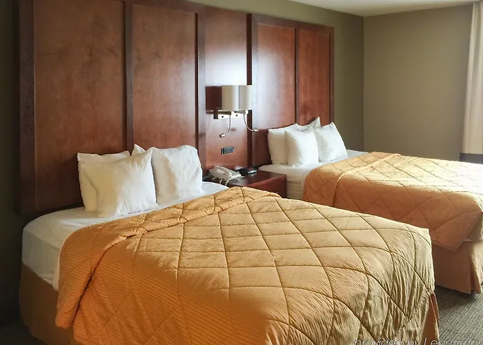 Comfort - Bolingbrook Inn 4*